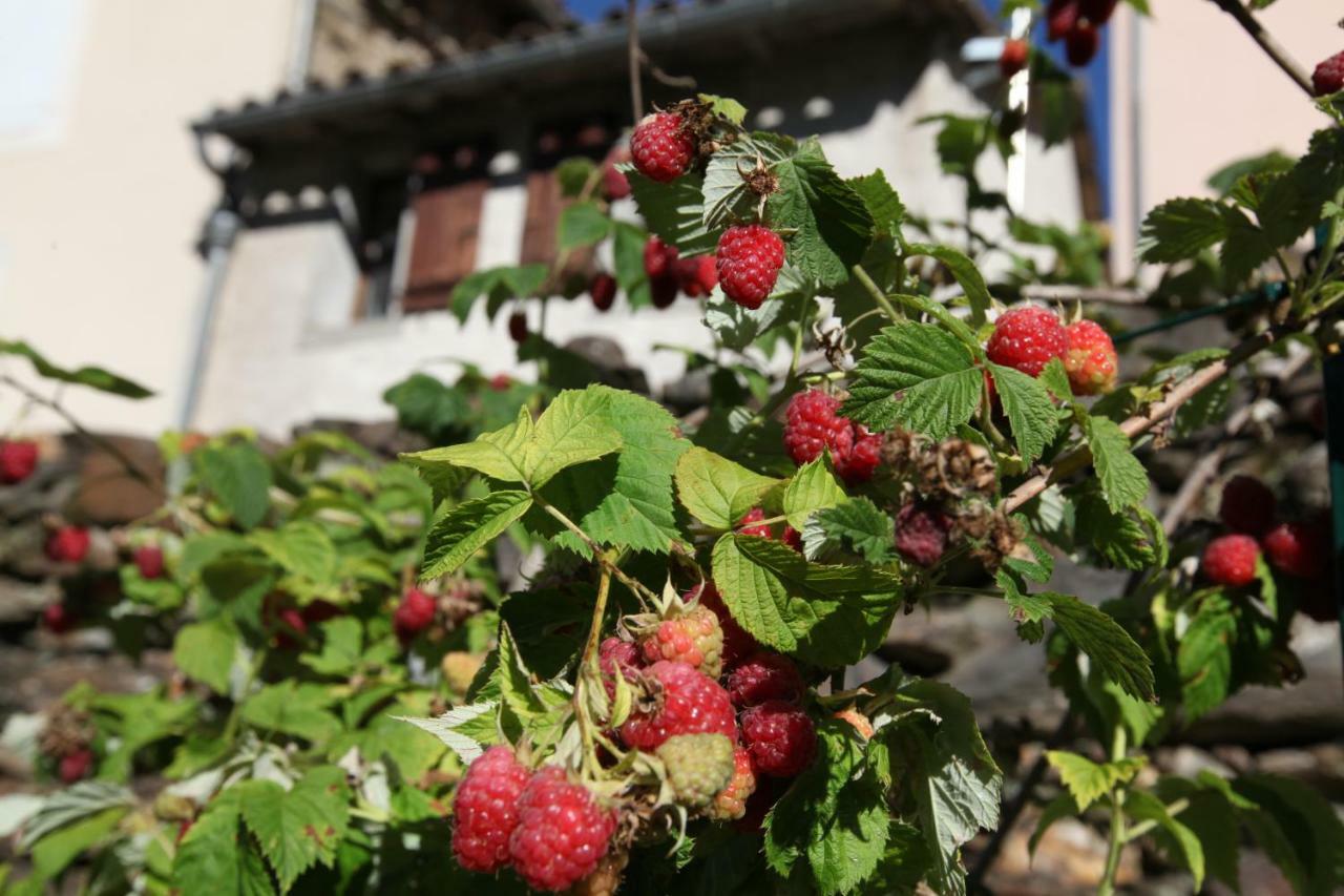 La Caladette Villa Les Plantiers Dış mekan fotoğraf